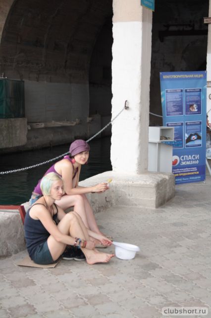80638_w5hcs76uf1o.jpg